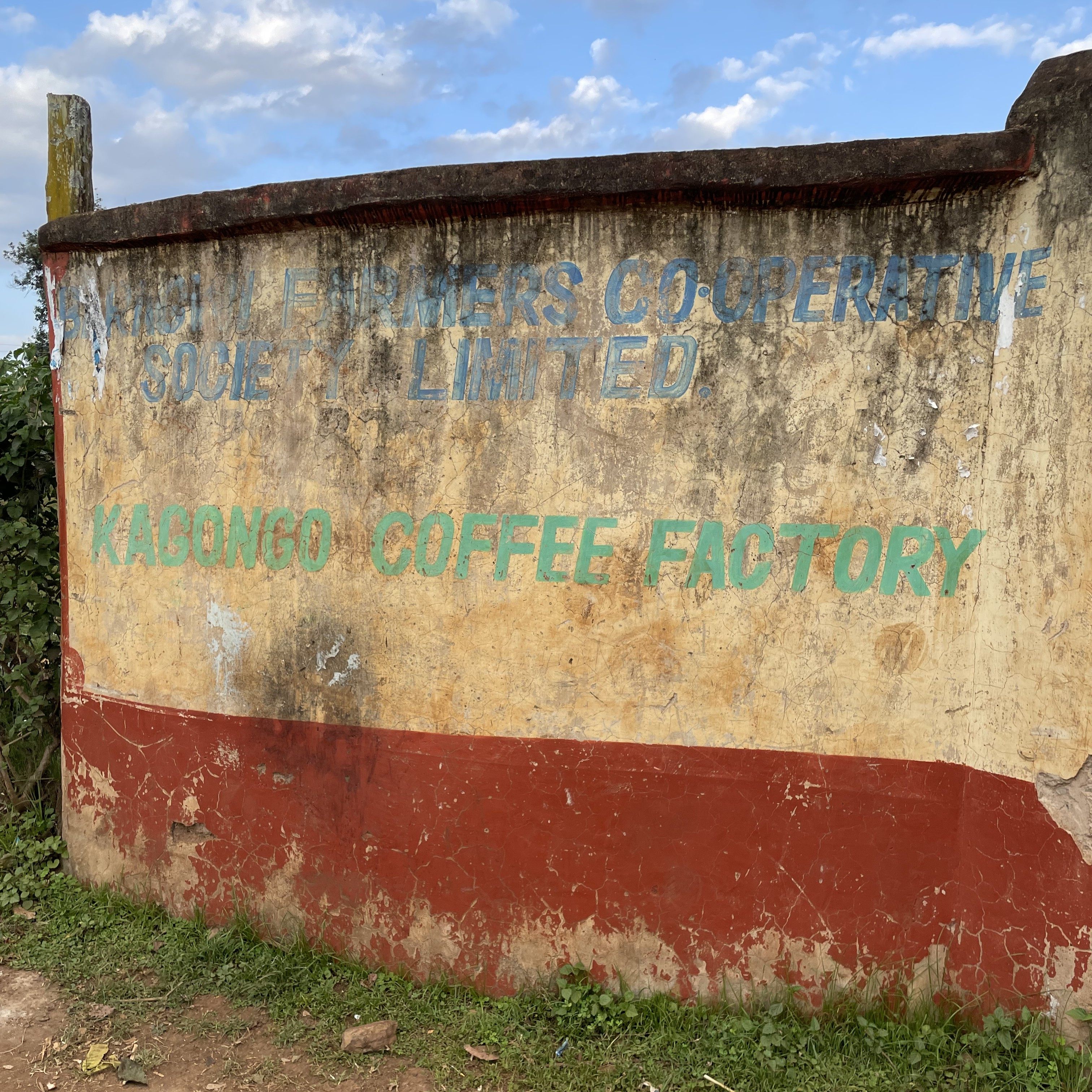 Kenya Kagongo Washed(25/26年クロップ) | ORIGIN COUNTRIES for Small
